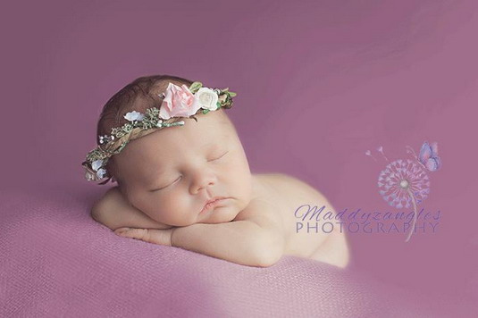 Woodland Halo | Newborn Photo Props UK