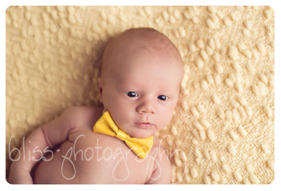 Dickie Bow | Baby Bow Ties