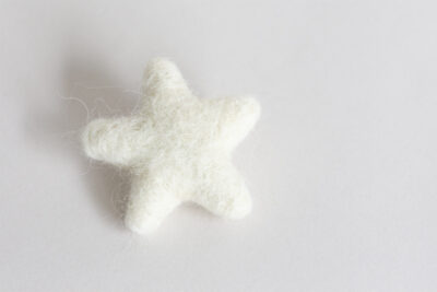 Felted Star