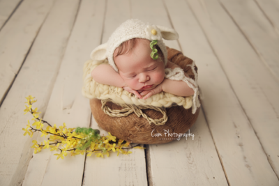 Lamb Bonnet