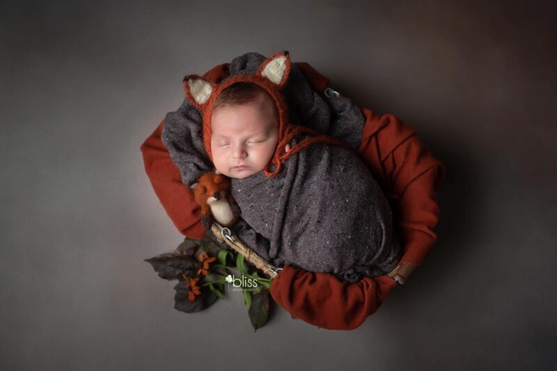 Newborn Felted Fox