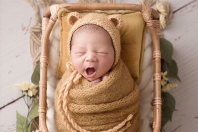 Newborn Bear Bonnet