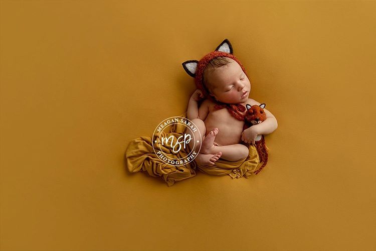 Newborn Fox Bonnet